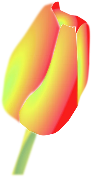 Tulip Flower Yellow Stickdatei
