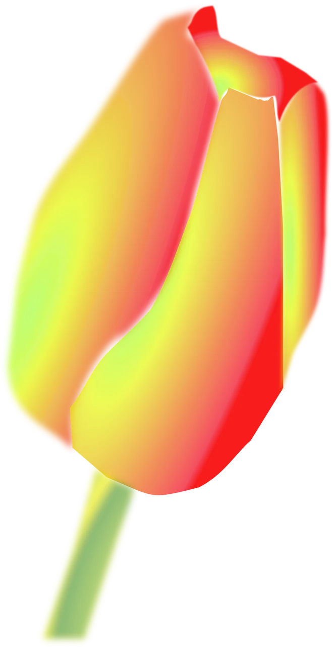 Tulip Flower Yellow Stickdatei – Blumen