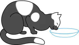 Cat Animal Drinking Stickdatei