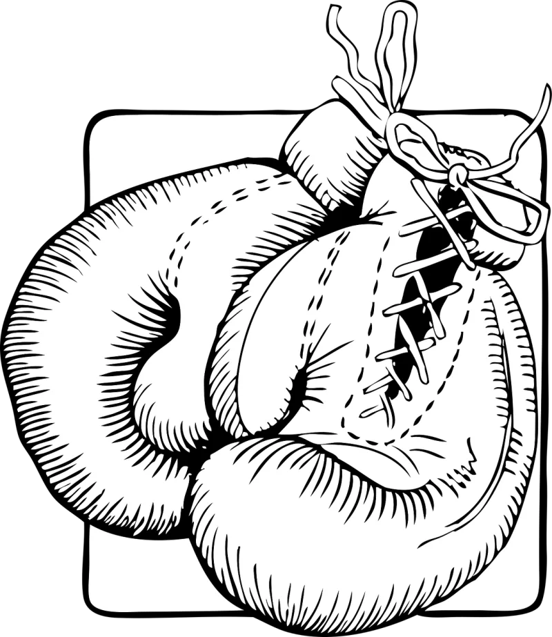 Gloves Boxing Fighting Stickdatei – Sport
