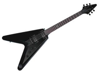 Guitar Electric guitar Epiphone Stickdatei