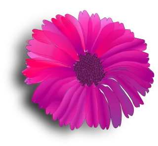 Flower Pink Fuchsia Stickdatei – Blumen