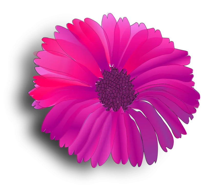 Flower Pink Fuchsia Stickdatei – Blumen