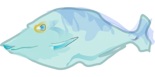 Fish Blue Nature Stickdatei