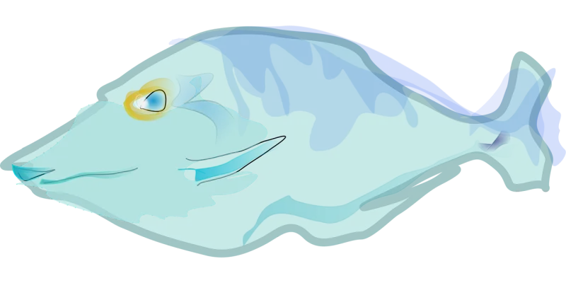 Fish Blue Nature Stickdatei – Sport