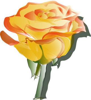 Rose Yellow Rose flower Stickdatei