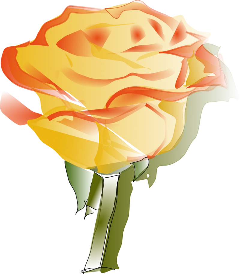 Rose Flower wallpaper Flower background Stickdatei – Blumen