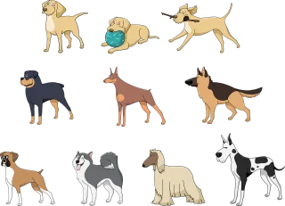 Animals Pets Pet Stickdatei