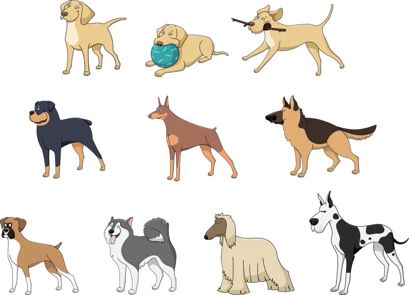 Animals Pets Pet Stickdatei – Tiere