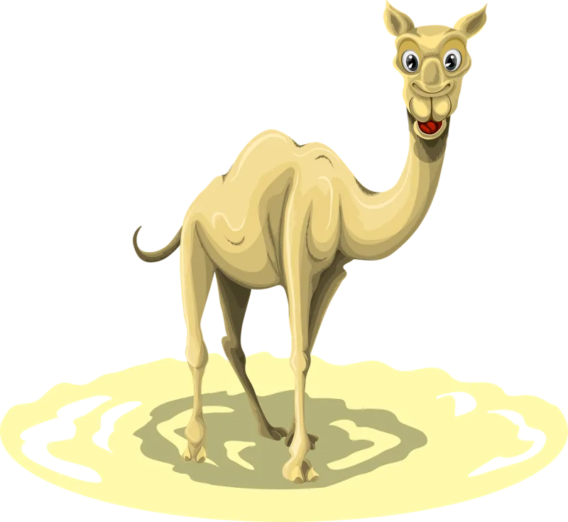 Camel Animal Egypt Stickdatei – Natur