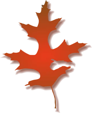 Maple Leaf Tree Stickdatei – Natur