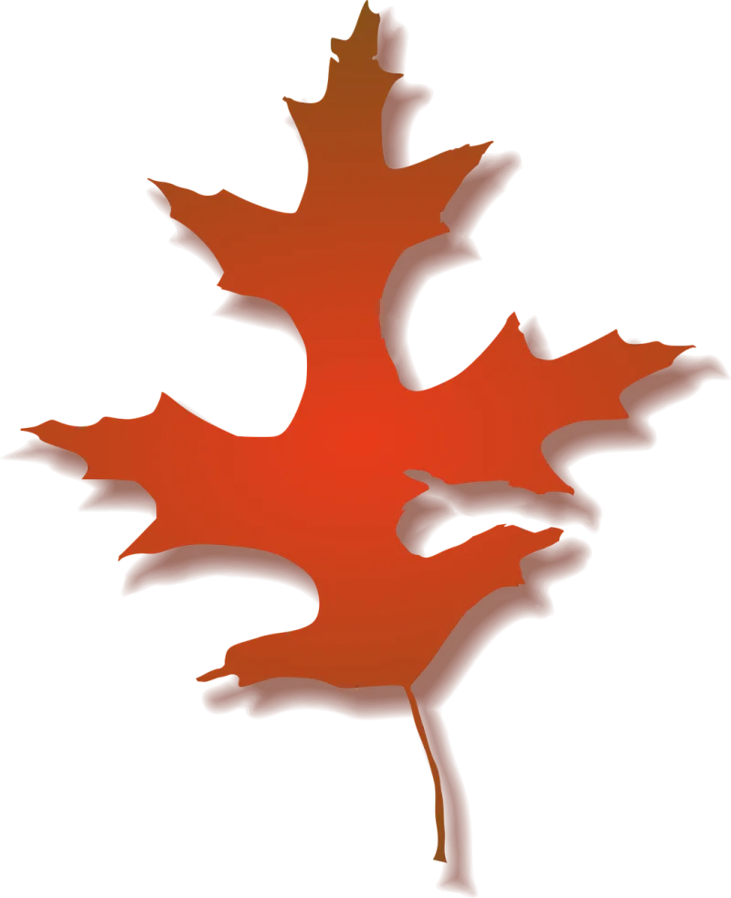Maple Leaf Tree Stickdatei – Natur