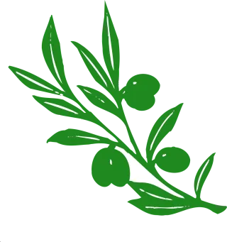 Olive Olive tree Nature Stickdatei
