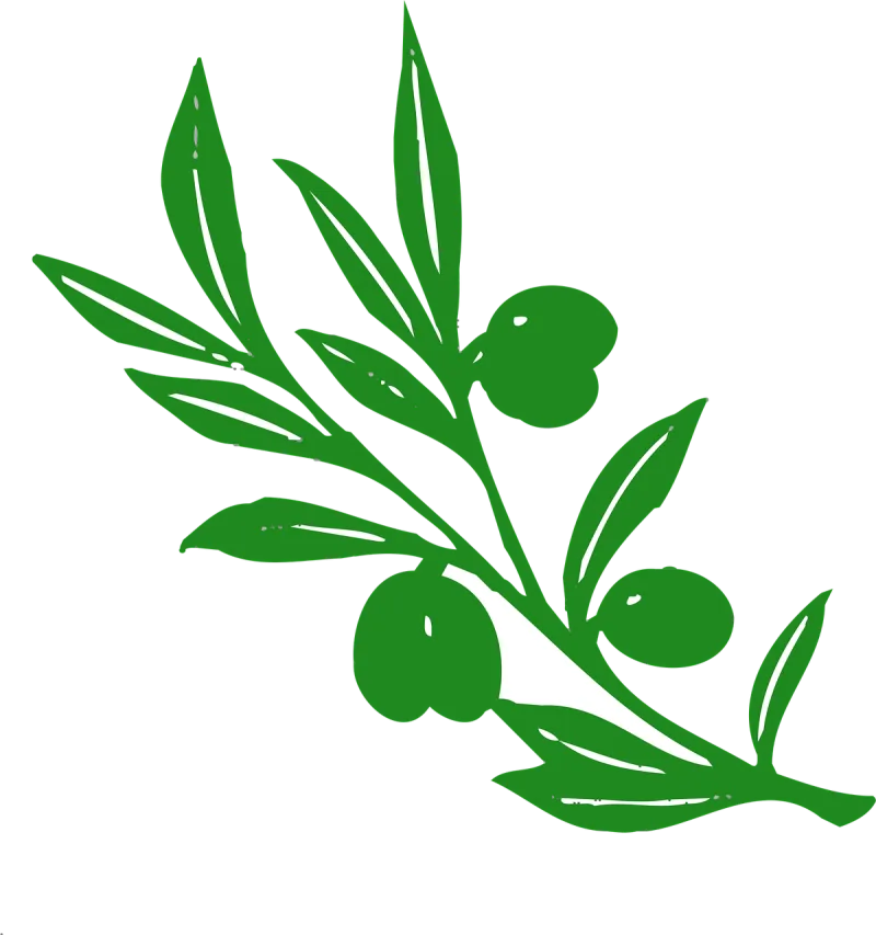 Olive Olive tree Nature Stickdatei – Natur