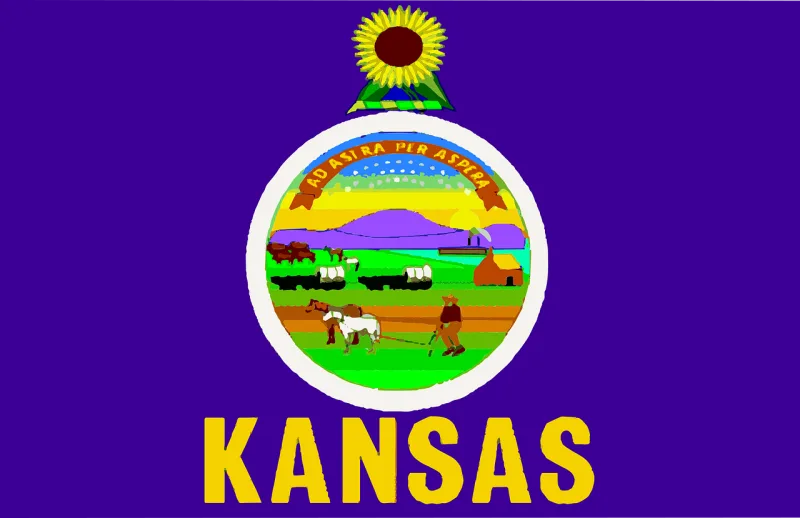Flag Kansas State Stickdatei – Blumen