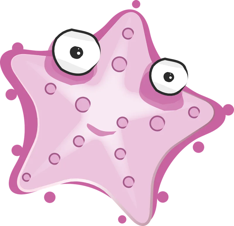 Starfish Sea Fun Stickdatei – Natur