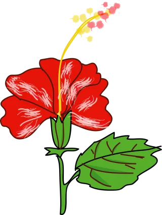 Hibiscus Flower Flower wallpaper Stickdatei