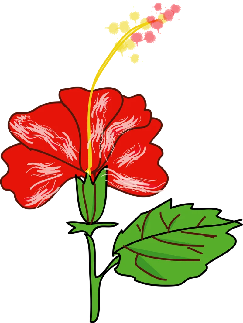 Hibiscus Flower Flower wallpaper Stickdatei – Blumen