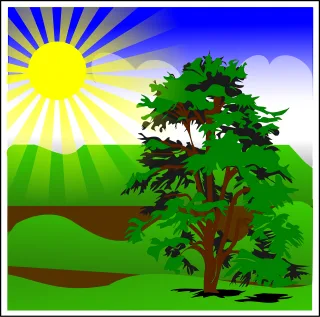 Tree Nature Spring Stickdatei