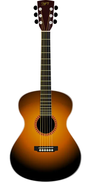 Acoustic guitar Guitar Acoustic Stickdatei