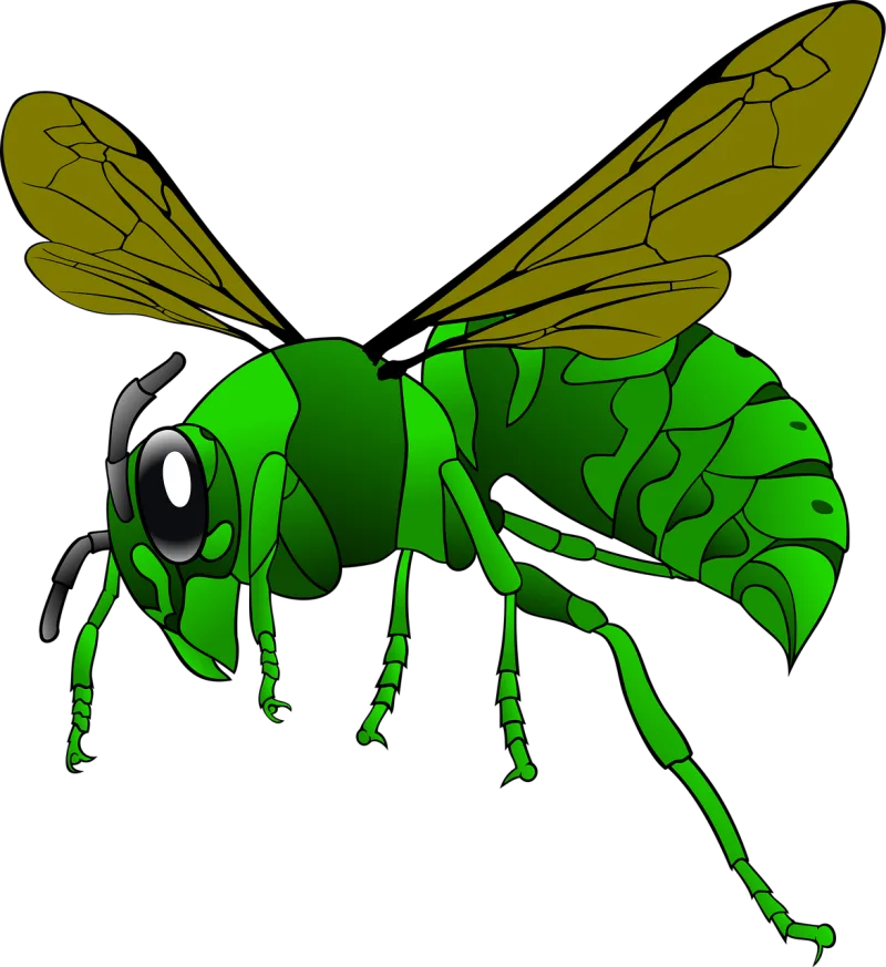 Hornet Bee Insect Stickdatei – Tiere