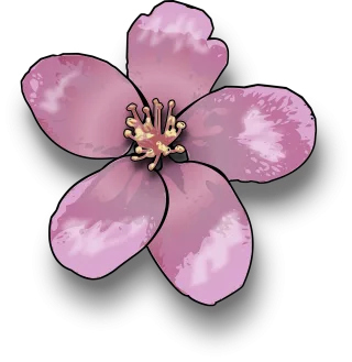 Flower Flower wallpaper Beautiful flowers Stickdatei