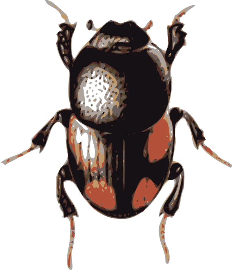 Beetle Insect Bug Stickdatei – Tiere