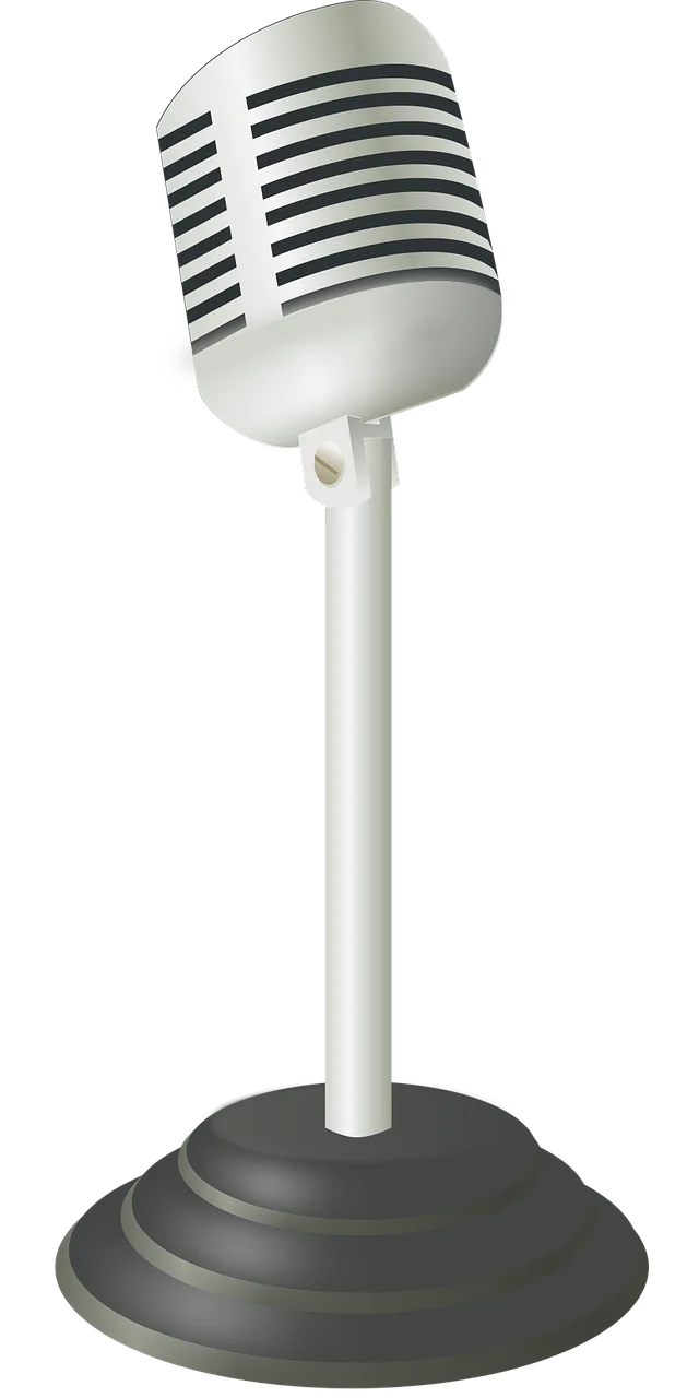 Microphone Radio Speaker Stickdatei – Musik