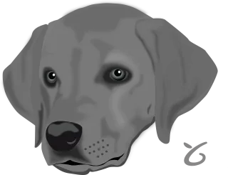 Dog Pet Head Stickdatei