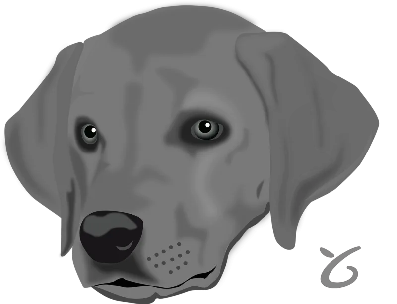 Dog Pet Head Stickdatei – Tiere