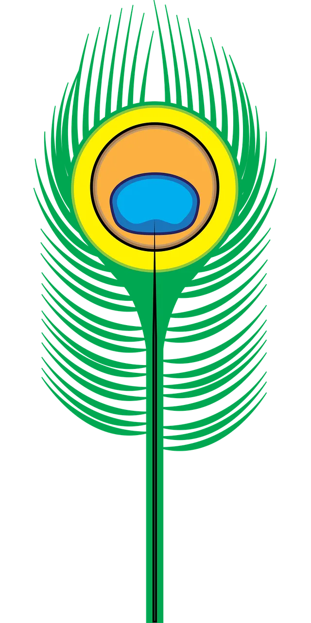 Peacock feather Feather Bird Stickdatei – Natur