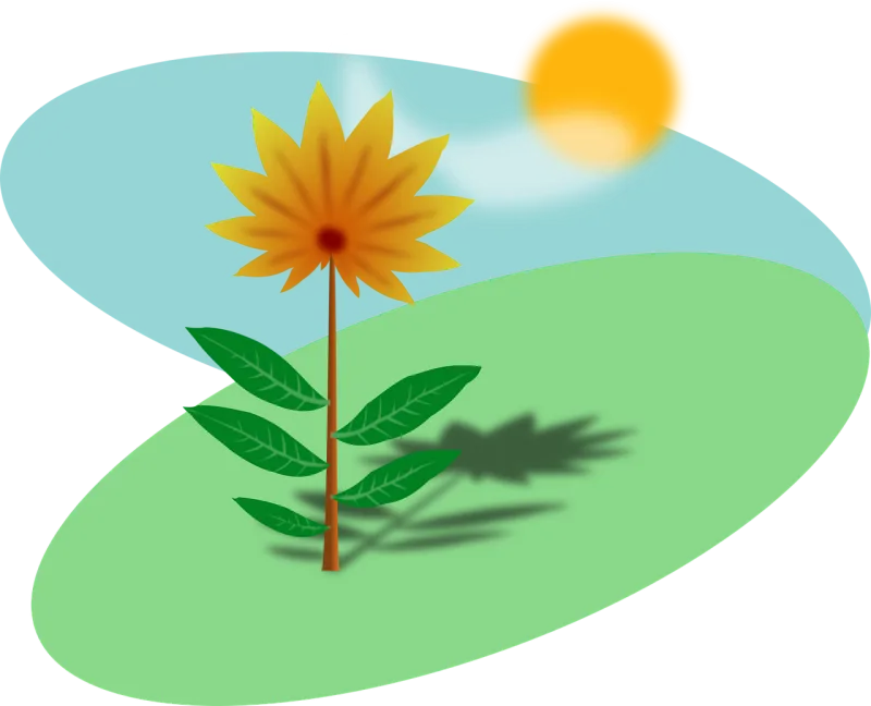 Spring Flower Nature Stickdatei – Natur