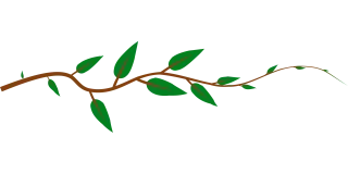 Vine Leaves Green Stickdatei
