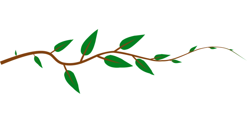Vine Leaves Green Stickdatei – Natur