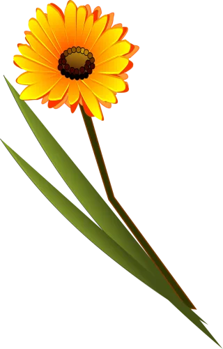 Flower Yellow Daisy Stickdatei