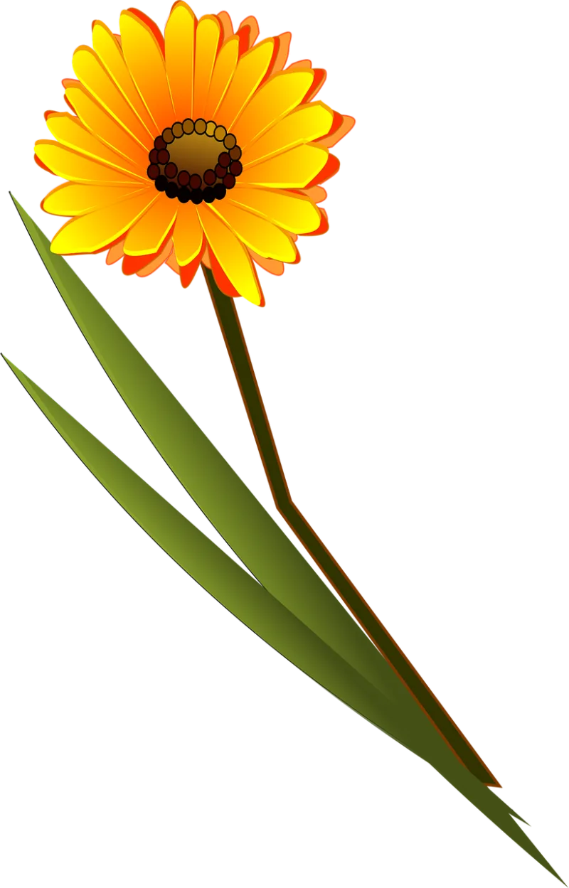 Flower Yellow Daisy Stickdatei – Blumen