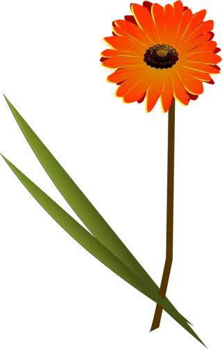 Flower Orange Beautiful flowers Stickdatei