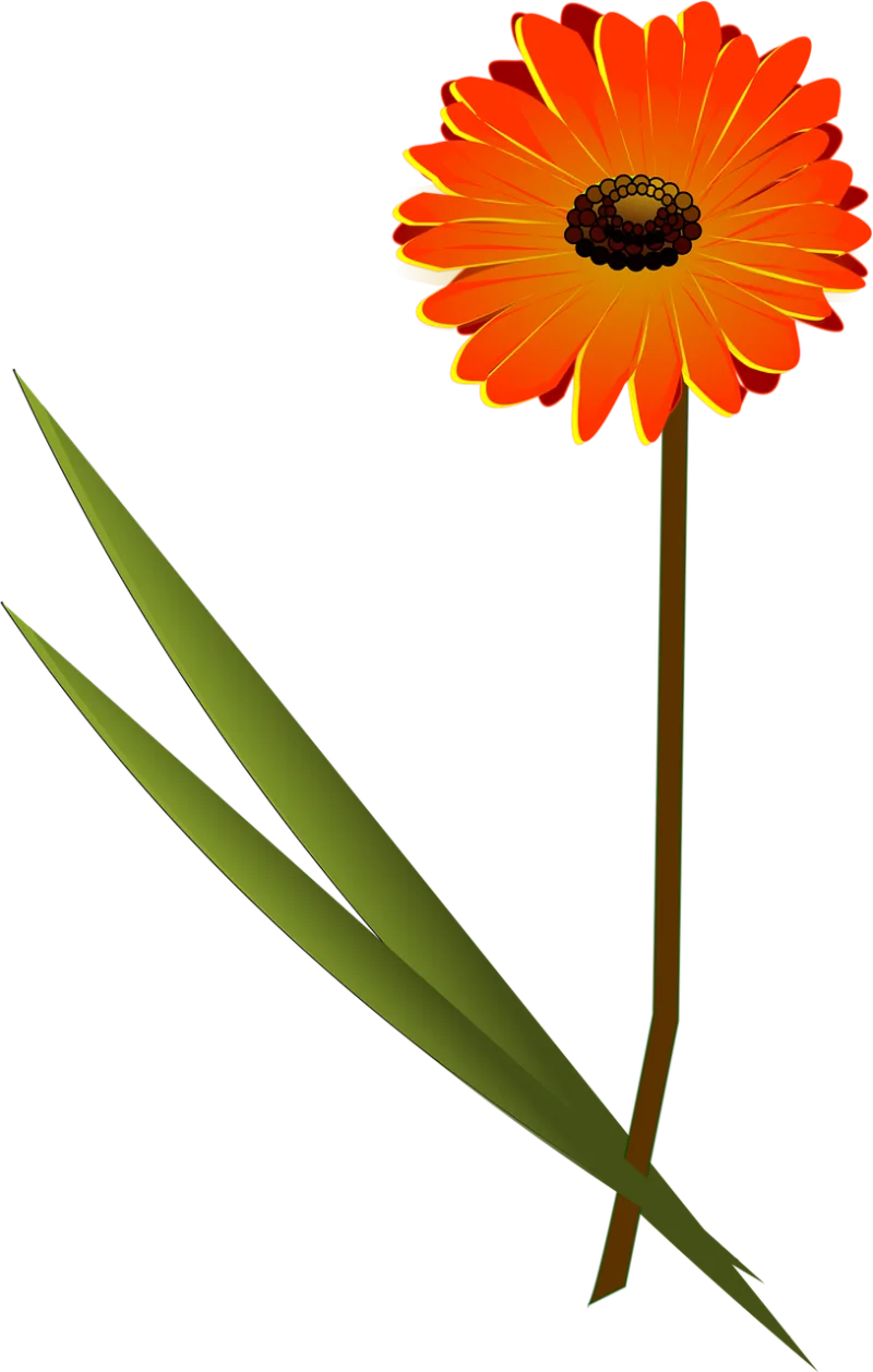 Flower Orange Beautiful flowers Stickdatei – Blumen