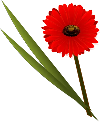 Flower Flower wallpaper Red Stickdatei