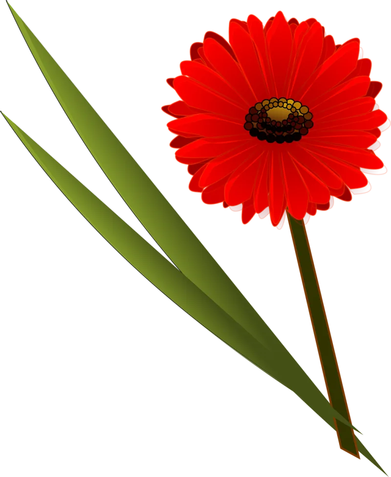Flower Flower wallpaper Red Stickdatei – Blumen