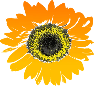 Sunflower Nature Flower background Stickdatei