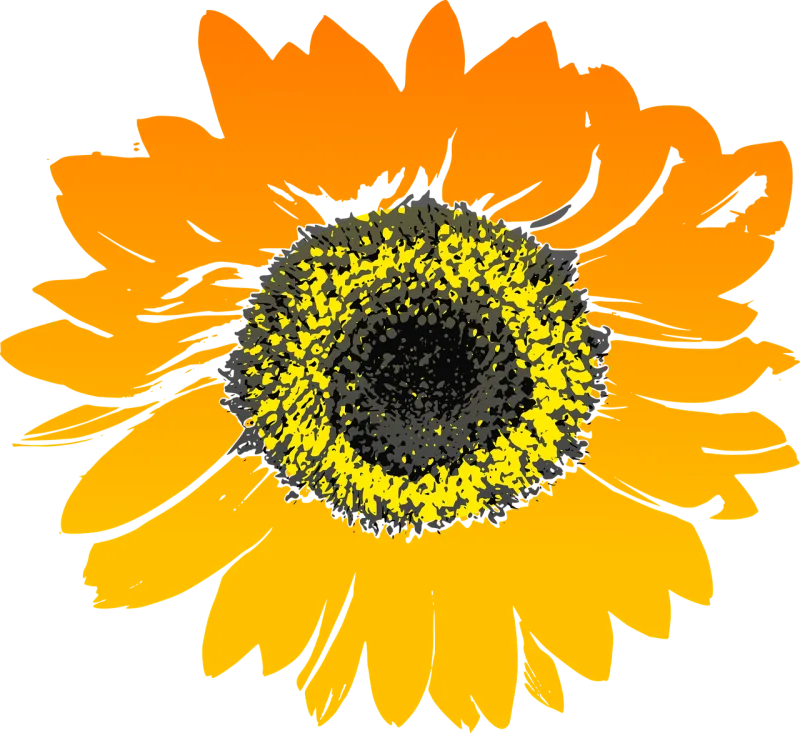 Sunflower Nature Flower background Stickdatei – Blumen