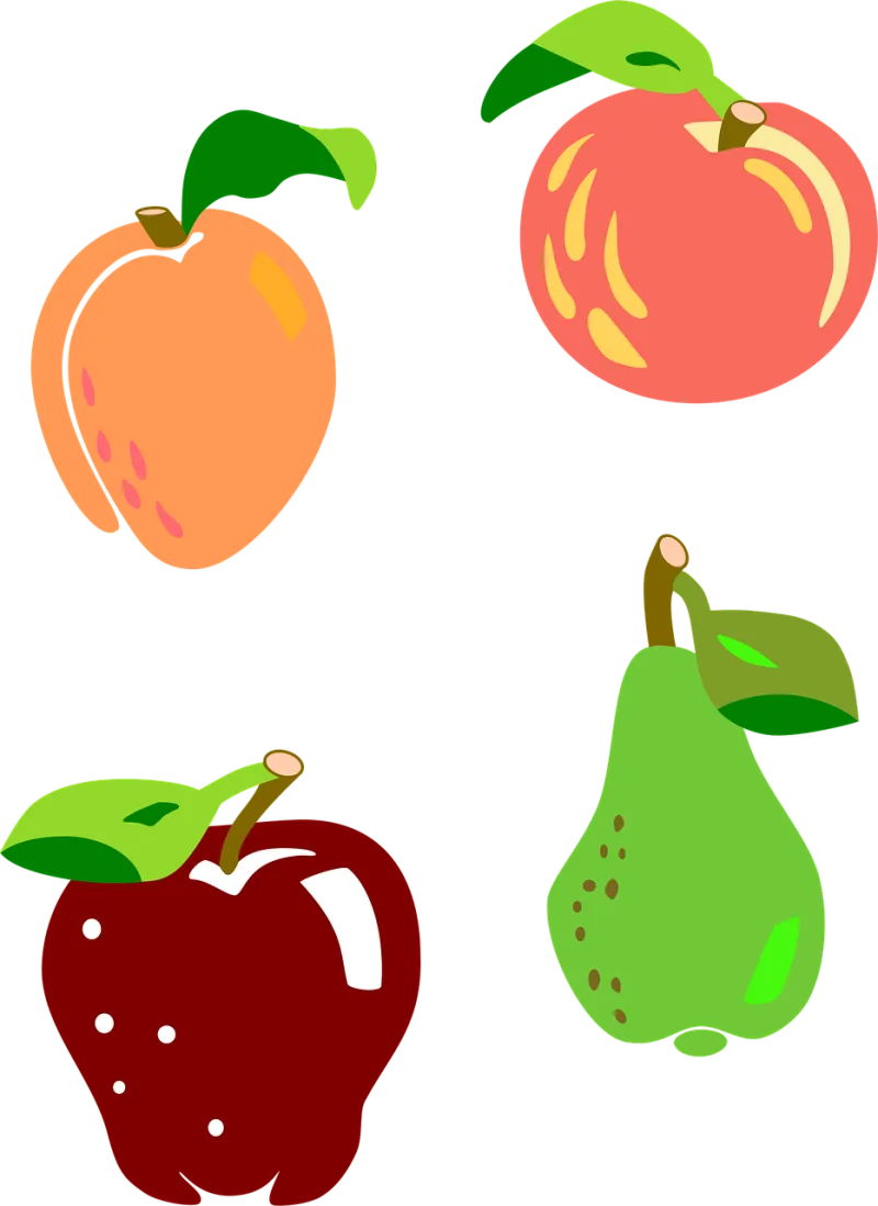 Fruit Apple Pear Stickdatei – Essen & Trinken