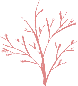 Branch Nature Winter Stickdatei