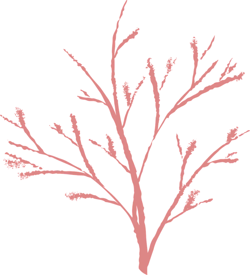Branch Nature Winter Stickdatei – Weihnachten