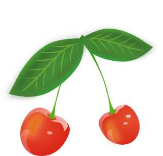 Cherries Berries Fruit Stickdatei