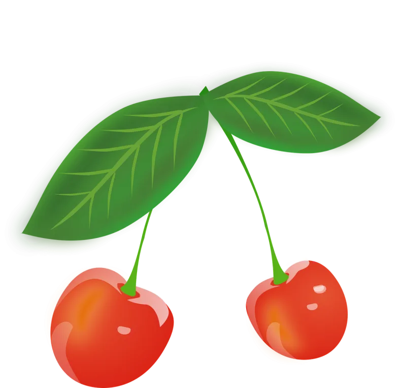 Cherries Berries Fruit Stickdatei – Essen & Trinken