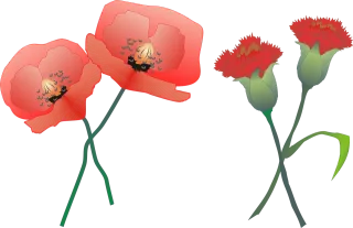 Carnation Poppy Beautiful flowers Stickdatei