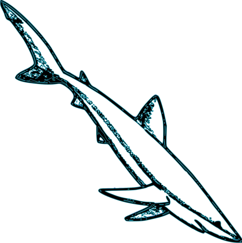 Shark Animal Sea life Stickdatei – Sport