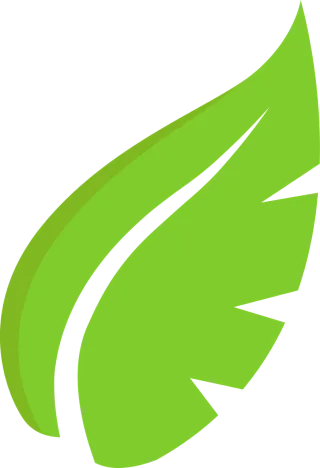 Leaf Plant Green Stickdatei